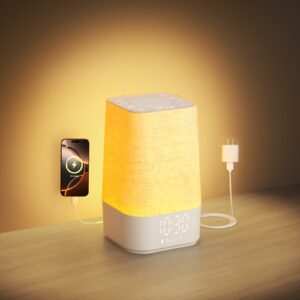 HOMEBEST 4-in-1 Sunrise Alarm Clock with Night Light