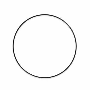 REGA - EBLT Reference Drive Belt product image