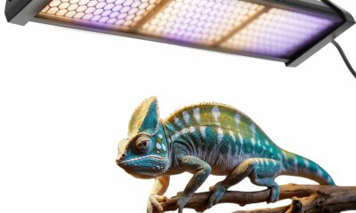 Dimmable LED Reptile UVB Lamp, 8000 Hours UVB Duration for Much Longer Lifespan, Adjustable 4/8/12-Hour Cycles, Suitable for Lizard and Chameleon, 12W, L Size 12INCH product image