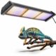 Dimmable LED Reptile UVB Lamp, 8000 Hours UVB Duration for Much Longer Lifespan, Adjustable 4/8/12-Hour Cycles, Suitable for Lizard and Chameleon, 12W, L Size 12INCH product image