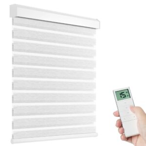 Motorized Zebra Shades with Remote Control, Electric Dual Layer Sheer Roller Blind Work with Alexa via Hub, Smart Day and Night Horizontal Blinds for Windows, Customized Size (Texture Silver) product image