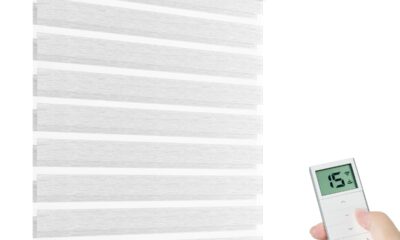 Motorized Zebra Shades with Remote Control, Electric Dual Layer Sheer Roller Blind Work with Alexa via Hub, Smart Day and Night Horizontal Blinds for Windows, Customized Size (Texture Silver) product image