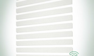 Yoolax Motorized Zebra Blinds, Remote Zebra Shades for Indoor Windows, Motorized Shades with Remote Light Control Horizontal Window Blinds Custom Size(60% Shading Sheer White) product image