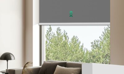 Allesin Motorized Roller Blinds with Remote Control for Windows, Blackout Automatic Smart Shades, Dry Battery Powered Electric Blind (Smoky Gray 23" W x 72" H) Smoky Gray 23"W x 72"H product image