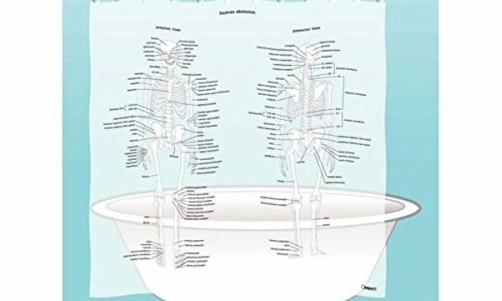 Human Skeleton Shower Curtain - EVA Vinyl, 71" x 71" product image
