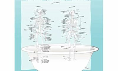 Human Skeleton Shower Curtain - EVA Vinyl, 71" x 71" product image