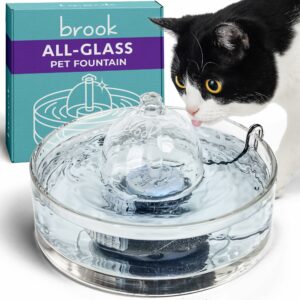 Brook Glass 90oz Pet Water Fountain
