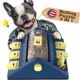 KADTC 2 Levels of Challenge,Large Size,Paw-Activated Rolling Dog Puzzle Feeder Toy,U.S. Brand & Design,Treat Puzzles Feeding for Small Medium Dogs Mental Stimulation Puppy Food Slow Dispenser Toy Large Blue product image