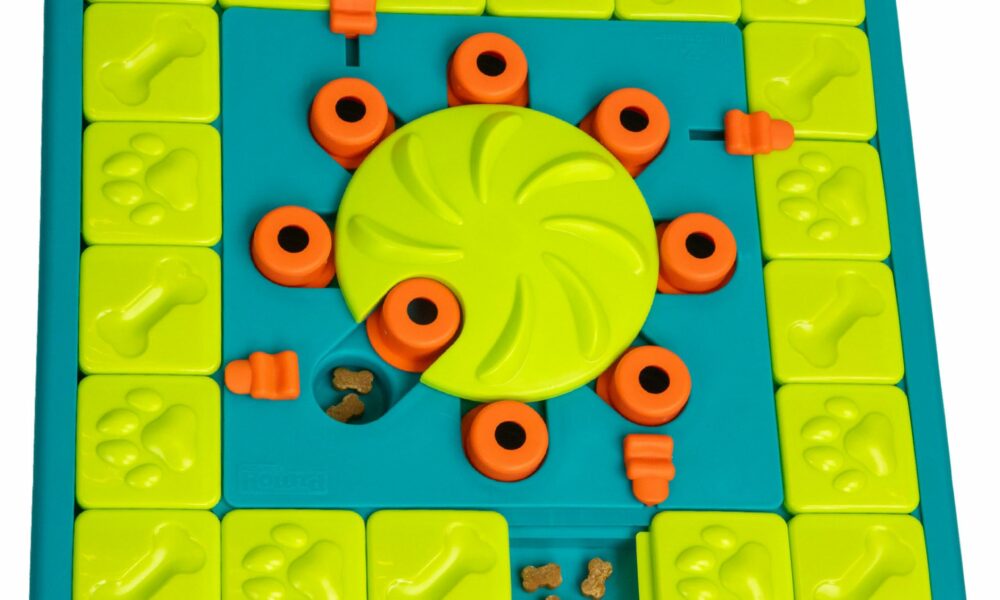 Outward Hound by Nina Ottosson MultiPuzzle – Interactive Dog Treat Puzzle Enrichment Toy, Level 4 Expert Multipuzzle (Green) product image