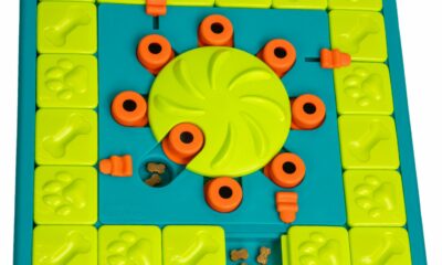 Outward Hound by Nina Ottosson MultiPuzzle – Interactive Dog Treat Puzzle Enrichment Toy, Level 4 Expert Multipuzzle (Green) product image