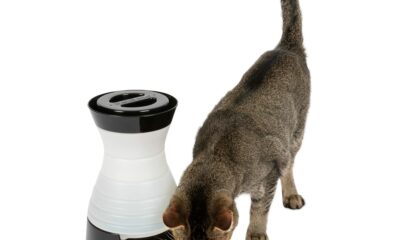 PetSafe Healthy Pet Water Station - Small, 64 oz Capacity - Gravity Pet Water Fountain, Automatic Cat Water Fountain, Dog Water Fountain, Water Dispenser - Removable Stainless Steel Bowl Included Waterer Small product image