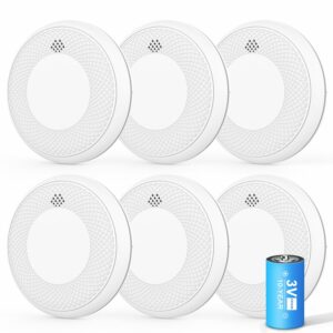 Runidur 10-Year Sealed Battery Smoke & CO Detector (6-Pack)