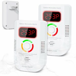 Deller 2-Pack Plug-in CO Detector with Digital Display