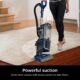 Shark NV151 Navigator Swivel Pro Complete Upright Vacuum with HEPA Filtration, Swivel Steering, Pet Power Brush, Crevice Tool & Upholstery Tool, for Pet Hair & Multi-Surface Cleaning, Navy product image