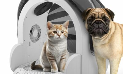 iPettie Automatic Hair Dryer Box for Cats and Small Dogs, Foldable and Large Capacity, 8 High-Velocity Fans, 360° Airflow, Temperature Control, 4-Speed Settings and Timer, 16 Gallons product image