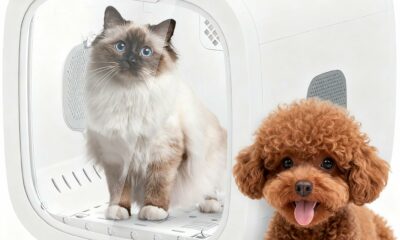 52L Automatic Pet Dryer Box with 5 Modes, Hands-Free Pet Grooming Dryer for Cats & Dogs, Adjustable Temperature & Wind Speed, Low Noise, Safety Features, Timer & Interior Light Pure White 52L product image