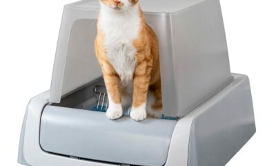 PetSafe Legacy ScoopFree Crystal Pro Self-Cleaning Automatic Cat Litter Box - Front-Entry Motion-Sensing Cat Box with Integrated Health Counter - Includes 1 Disposable Crystal Litter Tray Crystal Pro Legacy Litter Box product image