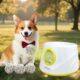 Automatic Dog Ball Launcher, Upgraded Interactive Dogs Balls Thrower for Small and Medium Dogs, Distance Adjustable Mental Stimulating Dog Toys with 4 Durable Etpu Balls 2.2 Inch (Yellow) product image