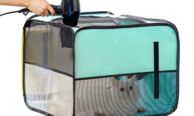 Pet Dog Cat Drying Box | Anti-Hair Flying | Portable Foldable Cat Drying Room | Drying Crate Cage for Small and Medium Dogs (Green) Turq product image