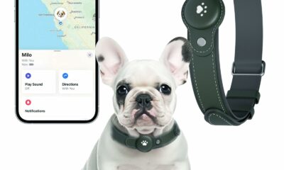 2-in-1 GPS Tracker for Dogs&Cats : Smart Collar with Real-Time Location, No Monthly Fee, Unlimited Range (iOS Only) GPS Tracker Dog Collar- Ideal for Small, Medium Large Dogs(Tracker Included)(Green) S(8.5''-13'') Green product image