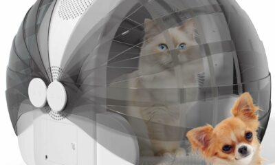 Foldable Automatic Pet Dryer Box for Cats and Small Dogs,Ultra Quiet Cat Hair Dryer with 8 High Velocity Fans 360 Drying Temperature Control 4-Speed Settings Timer Smart Pet Drying Box product image
