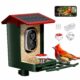 Smart Bird Feeder with Camera Solar Powered, 2K HD Video, AI Bird Species Identification, Instant Arrival Alerts, Weatherproof Design for Effortless Birdwatching, Best Gift for BirdLovers, Red Green-Red product image