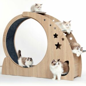 CYlively 5-in-1 Cat Exercise Wheel 41.3-Inch