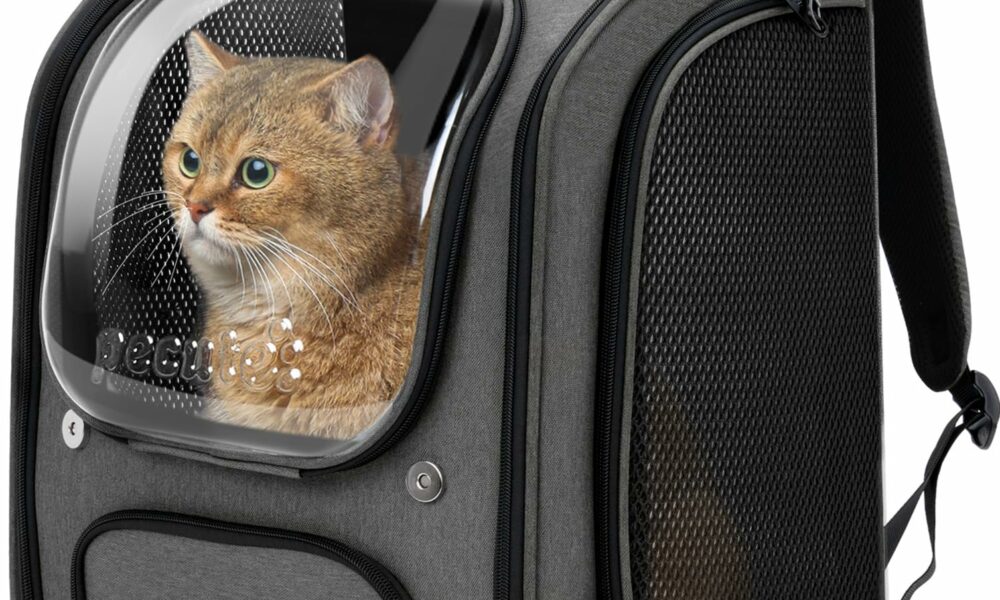 Pecute Cat Backpack Carrier, Large Space Cat Bubble Backpack, Breathable Cat Carrier, Shaded Dog Backpack Carrier, Ergonomic 3D Design for Travel, Hiking, Walk, Suitable for Shopping, Car, Vet, Gray 12.6"L x 10.2"W x 16.5"H Gray product image
