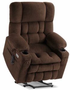 Tami Tami Dual Motor Power Lift Recliner with Massage and Heat