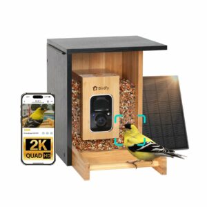 Birdfy Smart Bird Feeder with Camera, High-End Bamboo, Solar Powered Bird-Feeder with 2K Camera for Live Stream&Permanent AI Identifies Birds with Motion Detection,Ideal for Mom,Gran&Me AI Permanent Service product image