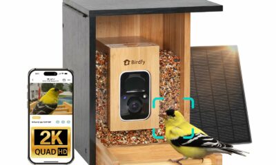 Birdfy Smart Bird Feeder with Camera, High-End Bamboo, Solar Powered Bird-Feeder with 2K Camera for Live Stream&Permanent AI Identifies Birds with Motion Detection,Ideal for Mom,Gran&Me AI Permanent Service product image