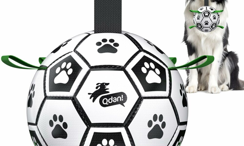 QDAN Dog Toys Dog Balls, World Cup Dog Soccer Ball with Straps, Dog Birthday, Herding Ball, Durable Balls for Small Medium Pet, Puppy Outdoor Toy (6 Inch) Black Green 6 Inch product image