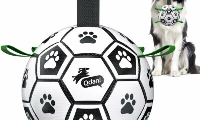 QDAN Dog Toys Dog Balls, World Cup Dog Soccer Ball with Straps, Dog Birthday, Herding Ball, Durable Balls for Small Medium Pet, Puppy Outdoor Toy (6 Inch) Black Green 6 Inch product image