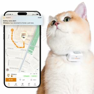 Pawfit Lite 4G GPS Cat Tracker