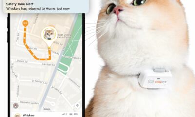 Pawfit Lite for Cats 4g GPS Tracker | Ultra-Small (<18g) Design | Real-Time Tracking | Activity Monitoring | Location History | Unlimited Range | Safety Collar Included | Simply White product image