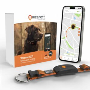 Weenect Dog XT - New GPS Collar for Dogs | XL Antenna | Waterproof | Ultra-Durable Integrated Julius-K9 Collar | Subscription Required Orange product image