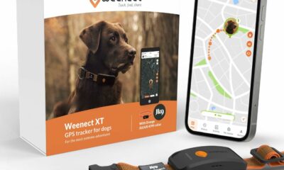Weenect Dog XT - New GPS Collar for Dogs | XL Antenna | Waterproof | Ultra-Durable Integrated Julius-K9 Collar | Subscription Required Orange product image