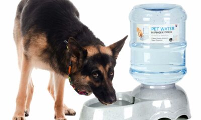 Pet Water Dispenser for Large Dogs and Multi-Pet, 3 Gallon Dog Water Bowl Dispenser, Basic Automatic Gravity Dog Cat Water Feeder, Large Capacity Pets Drinking Fountain, BPA-Free product image