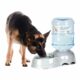 Pet Water Dispenser for Large Dogs and Multi-Pet, 3 Gallon Dog Water Bowl Dispenser, Basic Automatic Gravity Dog Cat Water Feeder, Large Capacity Pets Drinking Fountain, BPA-Free product image