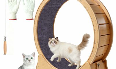 Cat Exercise Wheel Large - 35.4'' Wooden Treadmill for Indoor Cats with Low Noise, Safety Lock, Detachable Carpet & Eco-Friendly Design for Fitness, Weight Loss and Entertainment product image