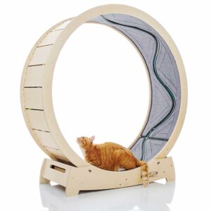 Star Cat Wheel, Cat Treadmill, Exercise Wheel for Running, Spinning, Scratching, and Climbing for Indoor Cats, Premium Birch Wood, Eco-Friendly, Moving Fish, Wide Running Track, 41.7 inch L Size product image