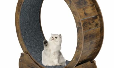 Cat Exercise Wheel for Indoor Cats - Large Running Wheel for Small Animals With Locking Mechanism (35.4"(90cm), Rusty Brown) 35.4"(90cm) rusty brown product image