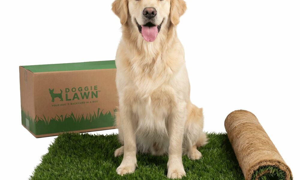 DoggieLawn Dog Potty - Real Grass - XLarge 24x48 inches XL Real Grass product image
