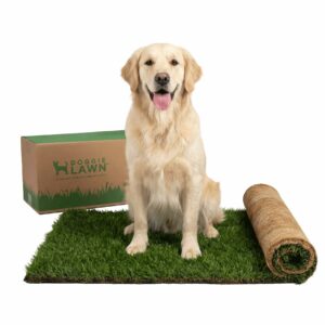 DoggieLawn Dog Potty - Real Grass - XLarge 24x48 inches XL Real Grass product image