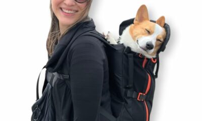 Maxine One Dog Backpack Carrier for Medium Dogs by Little Chonk | Adjustable & Ergonomic Front Facing Dog Carrier Backpack | Bult to be Safer | Pet Backpack Carrier, Featured in Wired Magazine - Black Bark After Dark Black Maxine One Medium product image