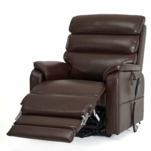 DYNOX 9198L Dual Motor Lift Chair with Heat & Massage