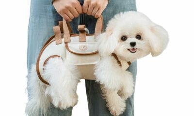 Portable Breathable Pet Carrier Sling & Backpack for Dogs & Cats, Adjustable Full-Body Harness with Traction Leash, Crossbody & Car-Friendly (Small) White S (4.4-8.8Lbs) product image