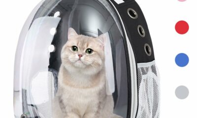 Pet Backpack Carrier with Harness Backpack with Bubble Clear Front for Cats, Small Dogs, Bunnies etc with Harness Included, Pet Carrier for Traveling, Walking, Hiking and Outdoor Activities Black product image