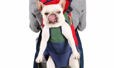 Lifeunion Legs Out Dog Carrier Backpack Hands-Free Adjustable Pet Travel Carrier for Small Medium Dogs Cats Motorcycle Hiking Walking (Green+Blue) product image