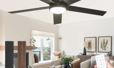 Fanbulous 52-Inch Ceiling Fan with LED Light and Remote product image